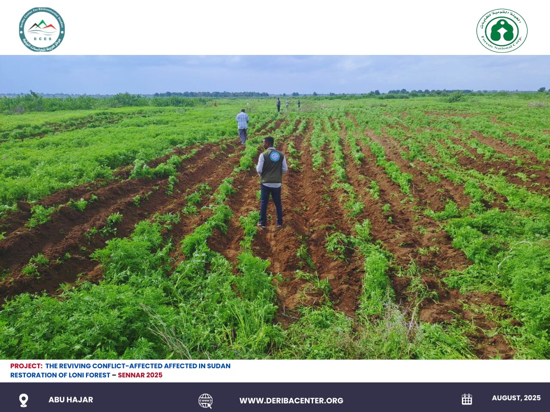 Read more about the article Reviving Nature, Restoring Hope: Land Preparation in Lowny Forest