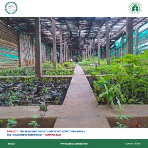 Read more about the article Restoration of Lowny Forest – Sennar 2025