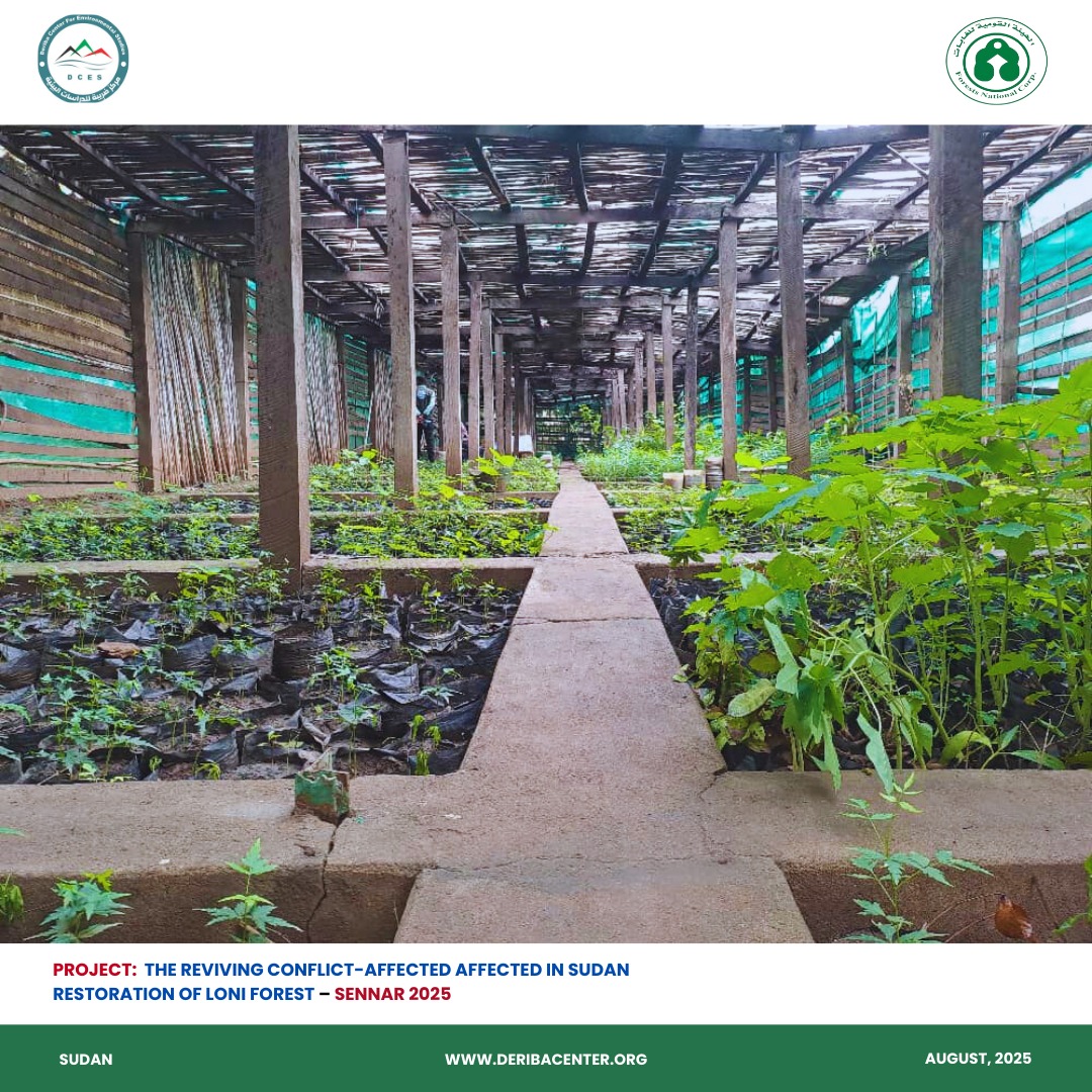 Read more about the article Restoration of Lowny Forest – Sennar 2025