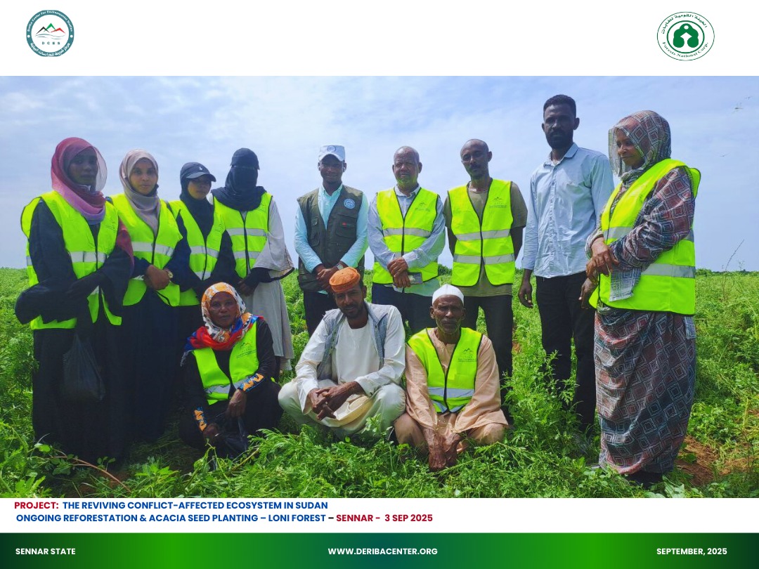 Read more about the article 🌱🌍 Continuing the Journey of Restoration – Lowny Forest | Wednesday, 3 September 2025 🌍🌱